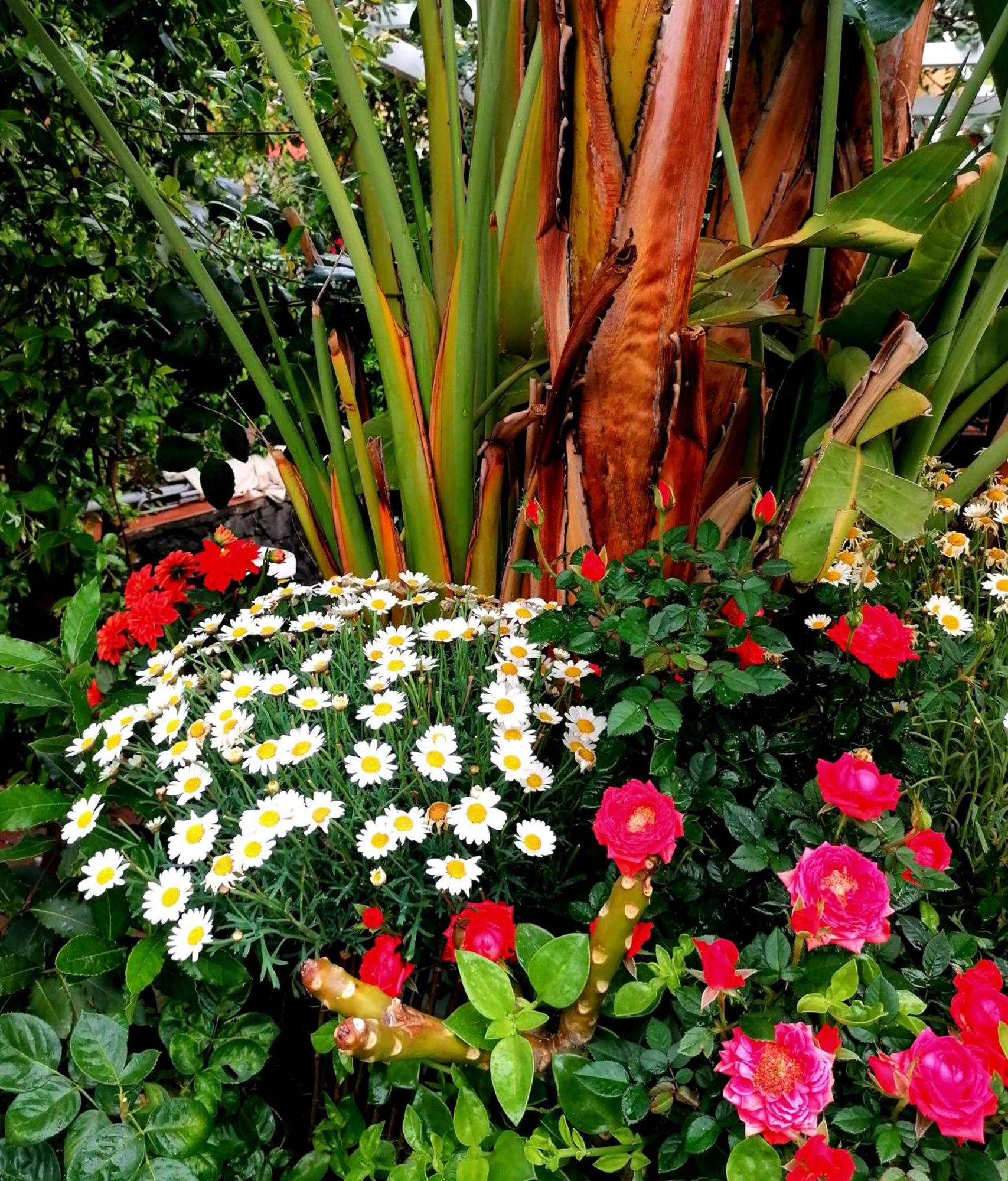 La Foresteria Garden Boutique B&B Catania Kültér fotó