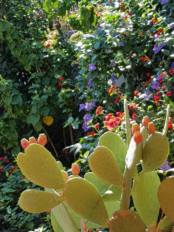 La Foresteria Garden Boutique B&B Catania Kültér fotó